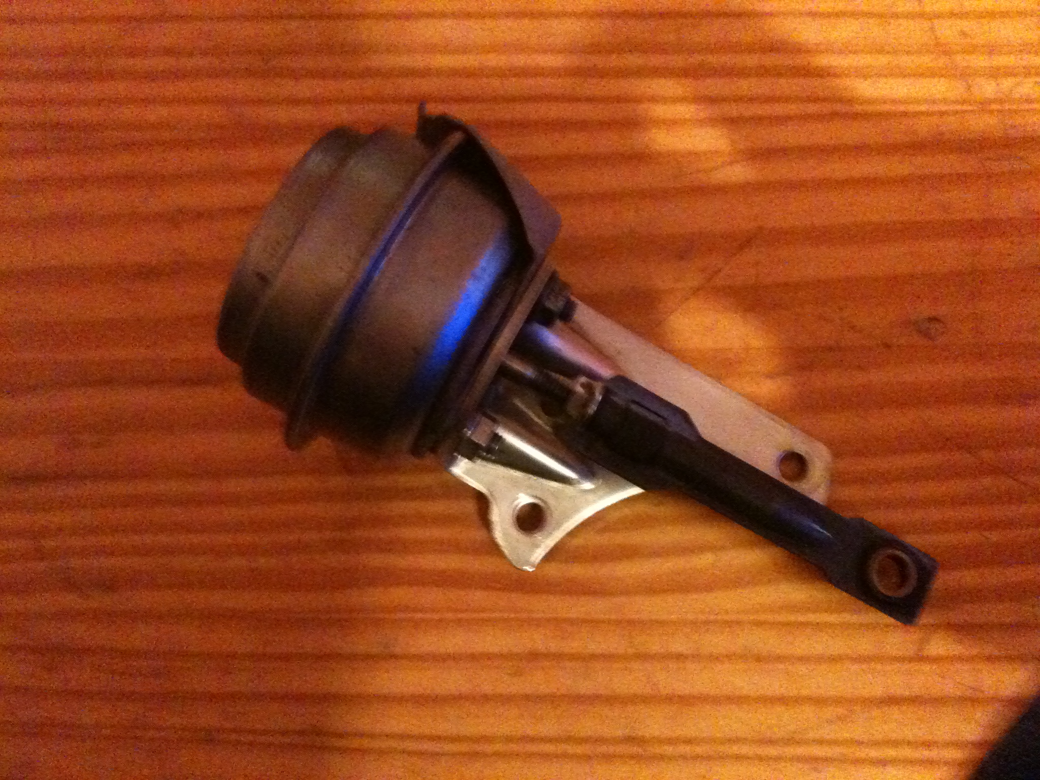 538135IMG0176.jpg