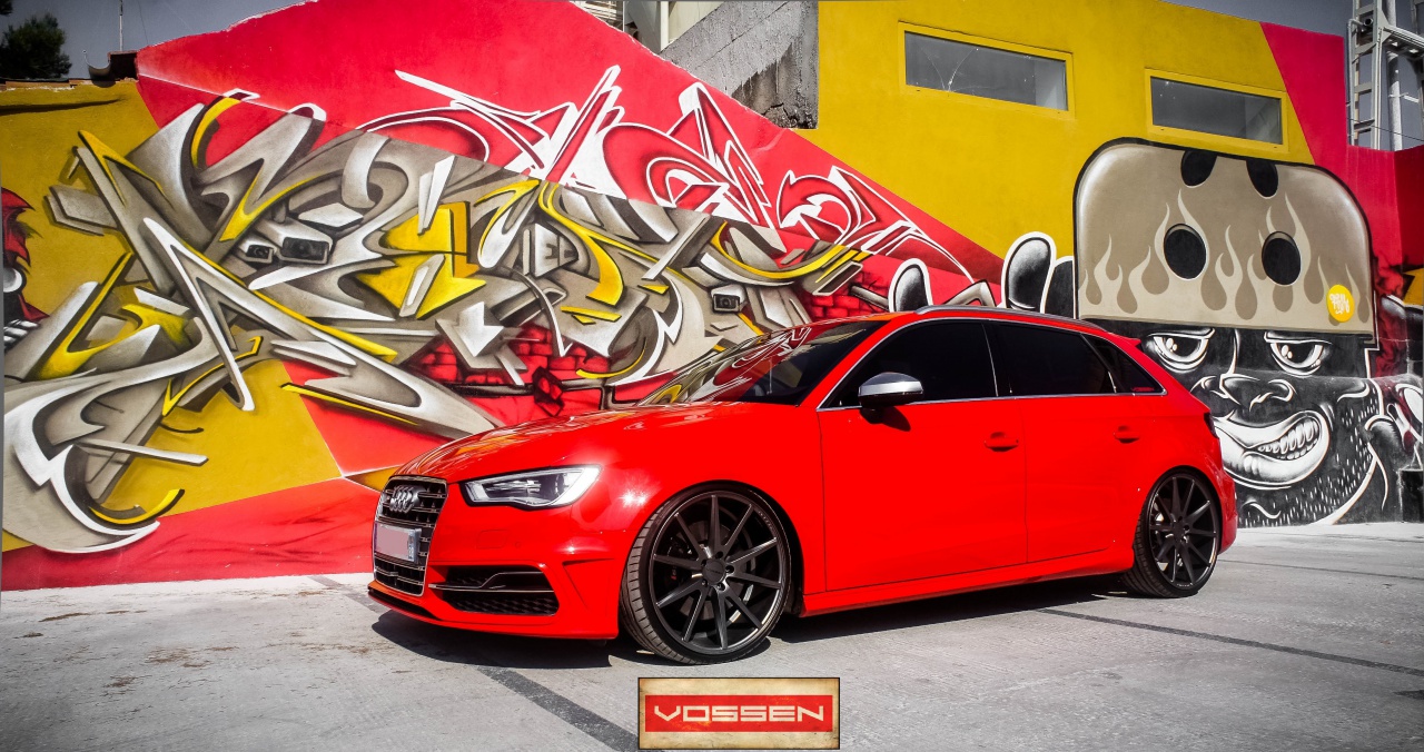 538172DSC04806vossen.jpg