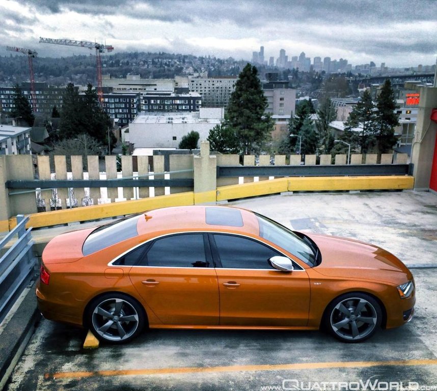 540705S8D4816.jpg