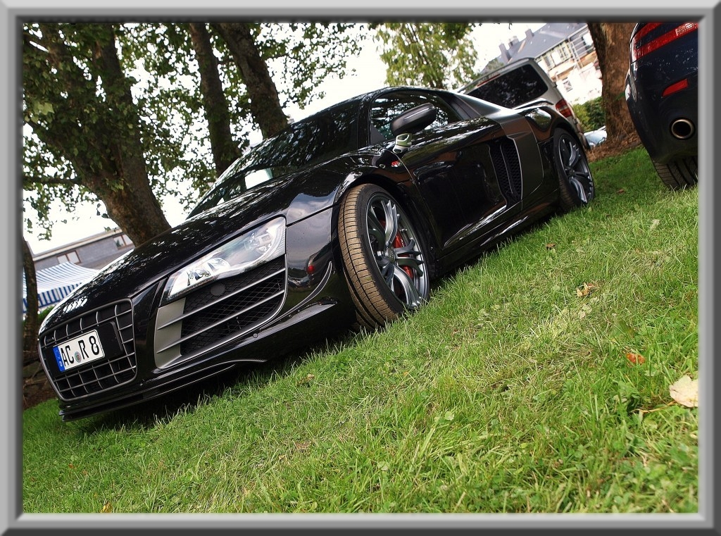 541497R8GT229ESQUIROU.jpg