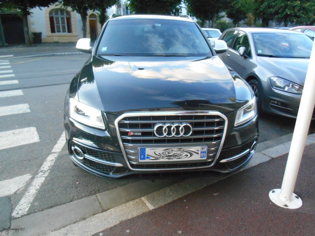 541669AUDISQ51328.jpg