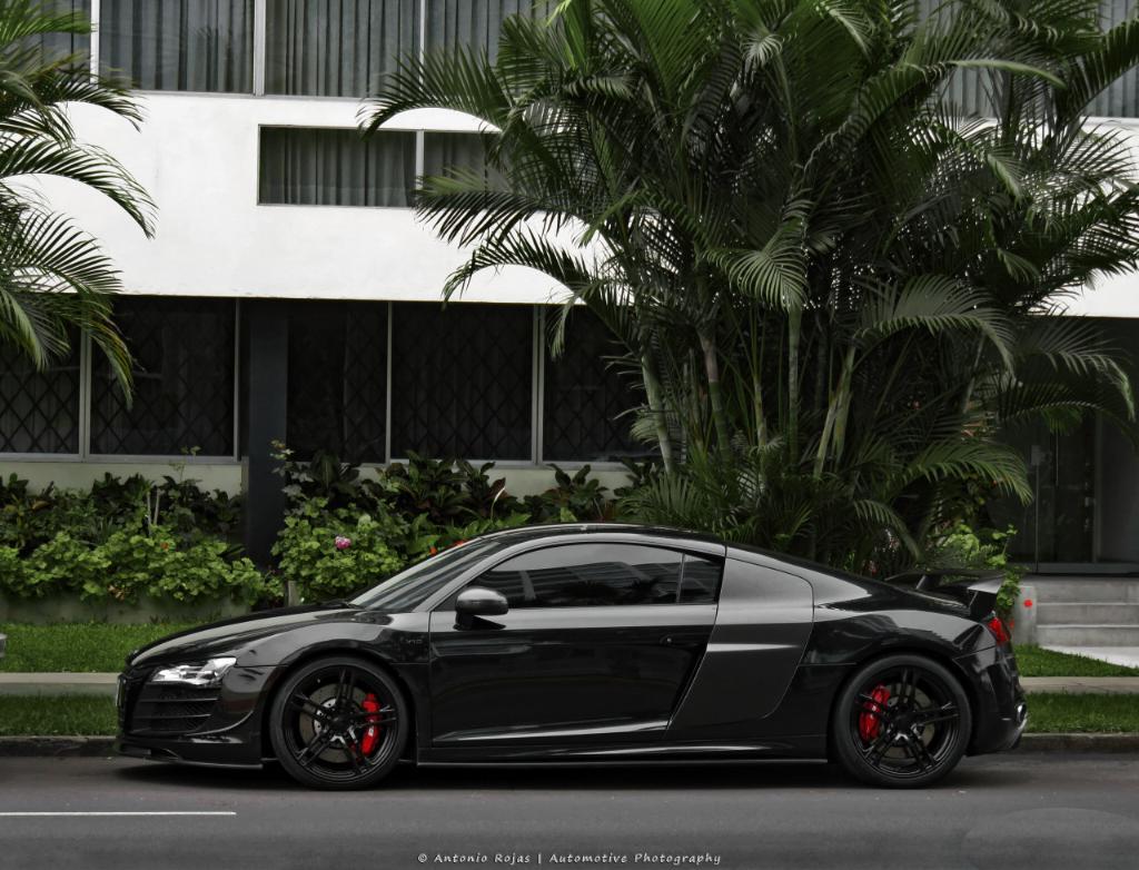5419303847AUDIR8V10.jpg