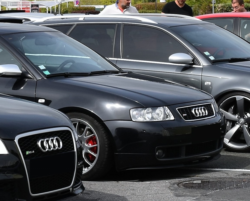 542167DSC00708x.jpg