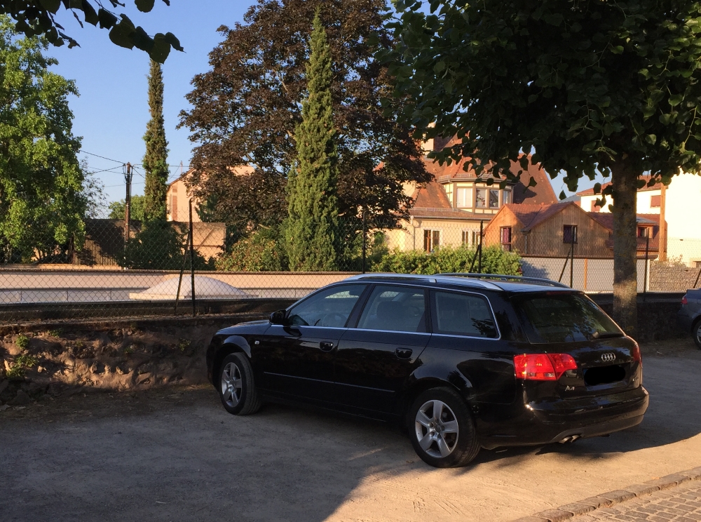 543416IMG1620.jpg