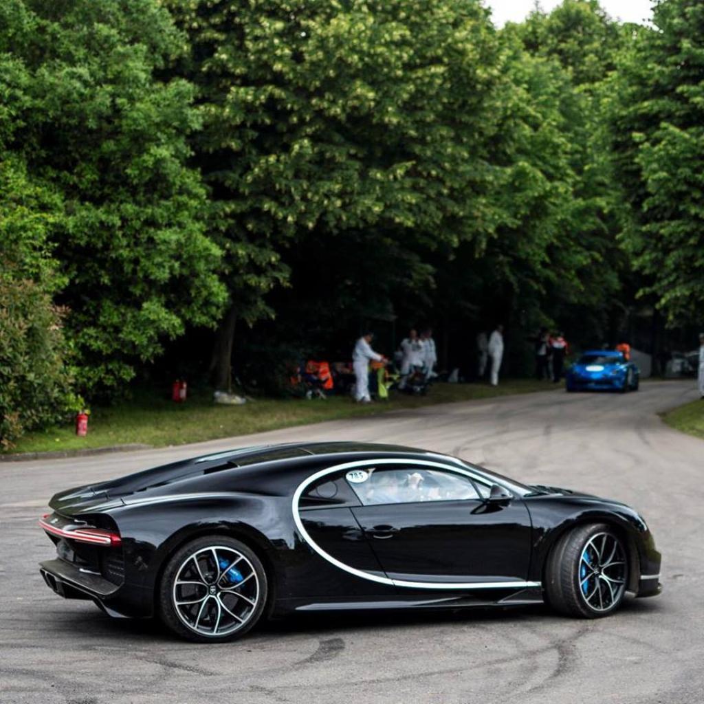 544287CHIRON0332.jpg