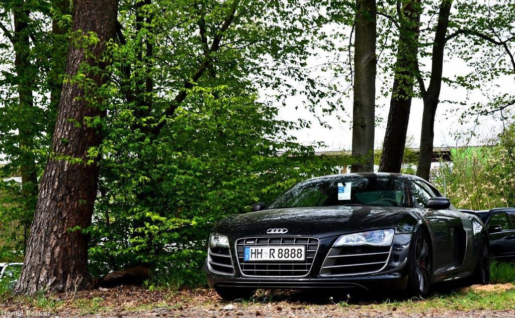 546281R8GT1241.jpg