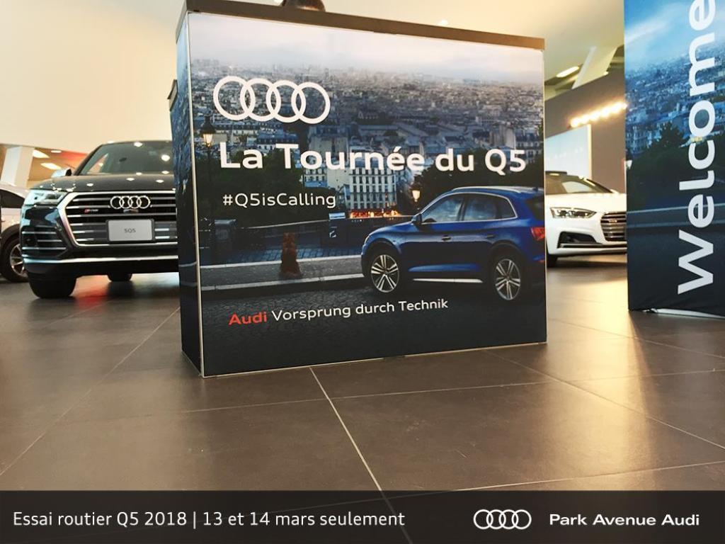 547467AUDISQ5B90040.jpg