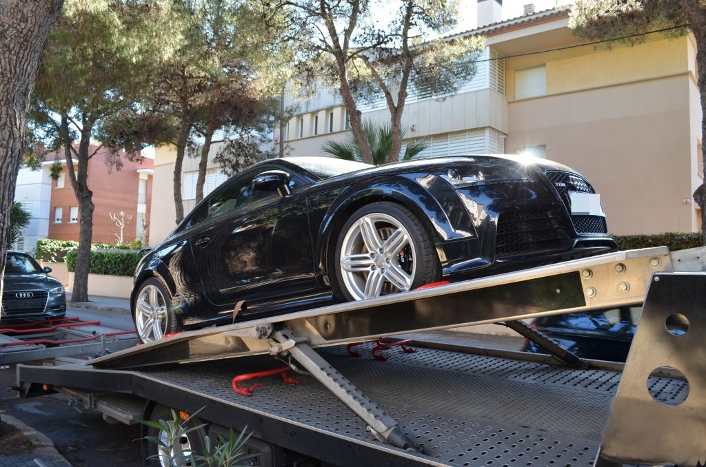 550229AUDITTRS541.jpg