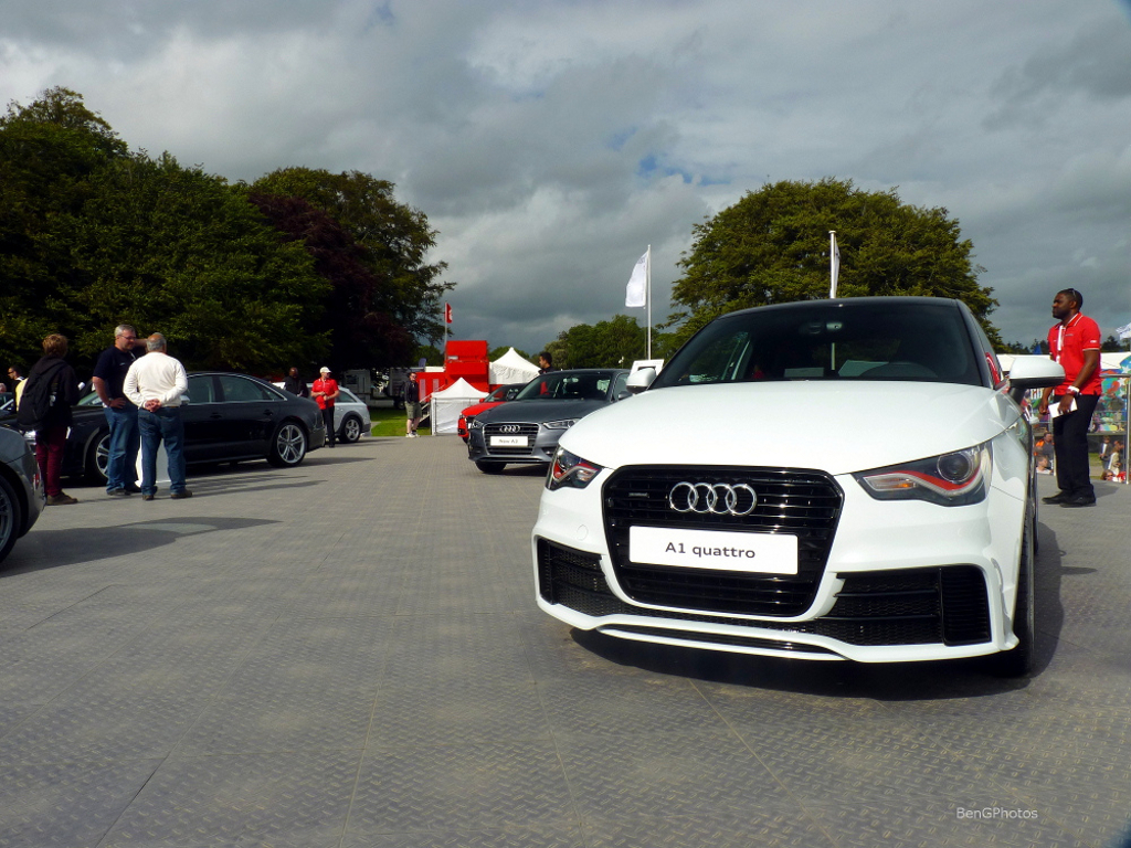 550421A1QUATTRO178.jpg