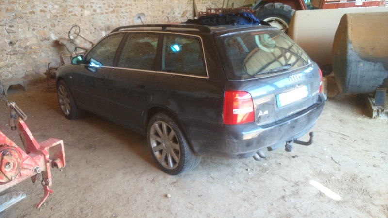 552252DSC0277.jpg