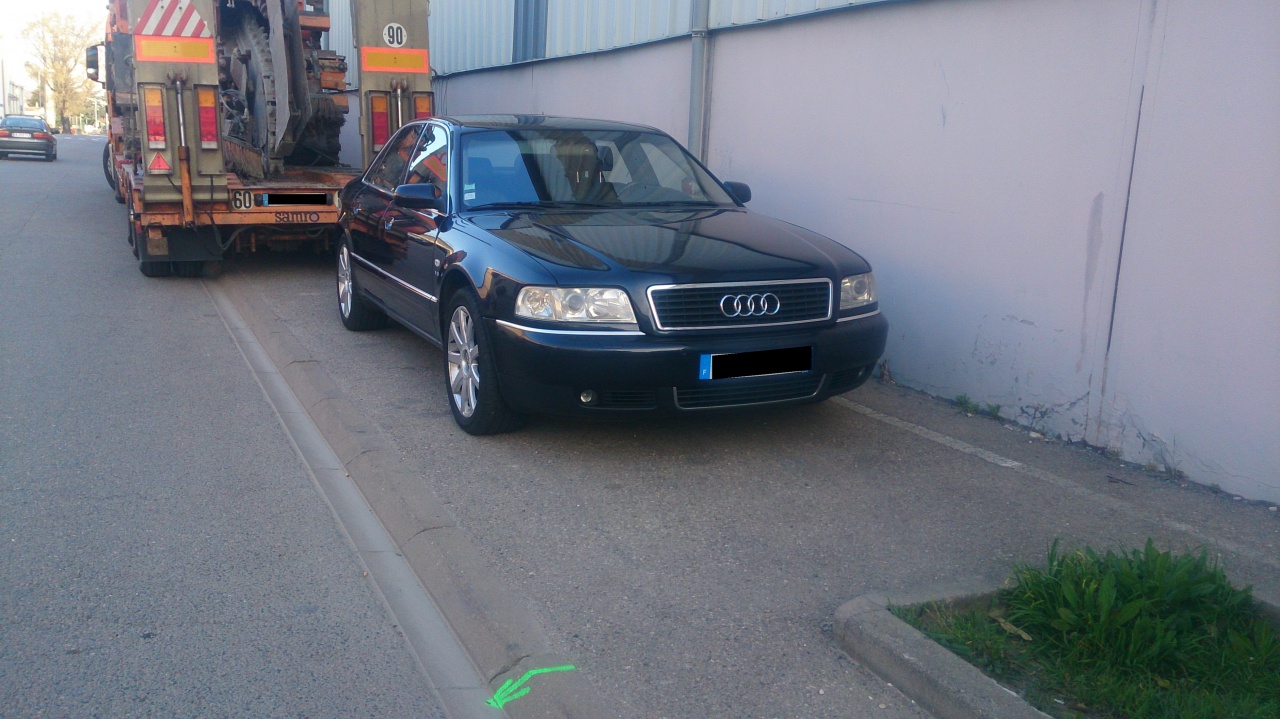 552655DSC0141.jpg