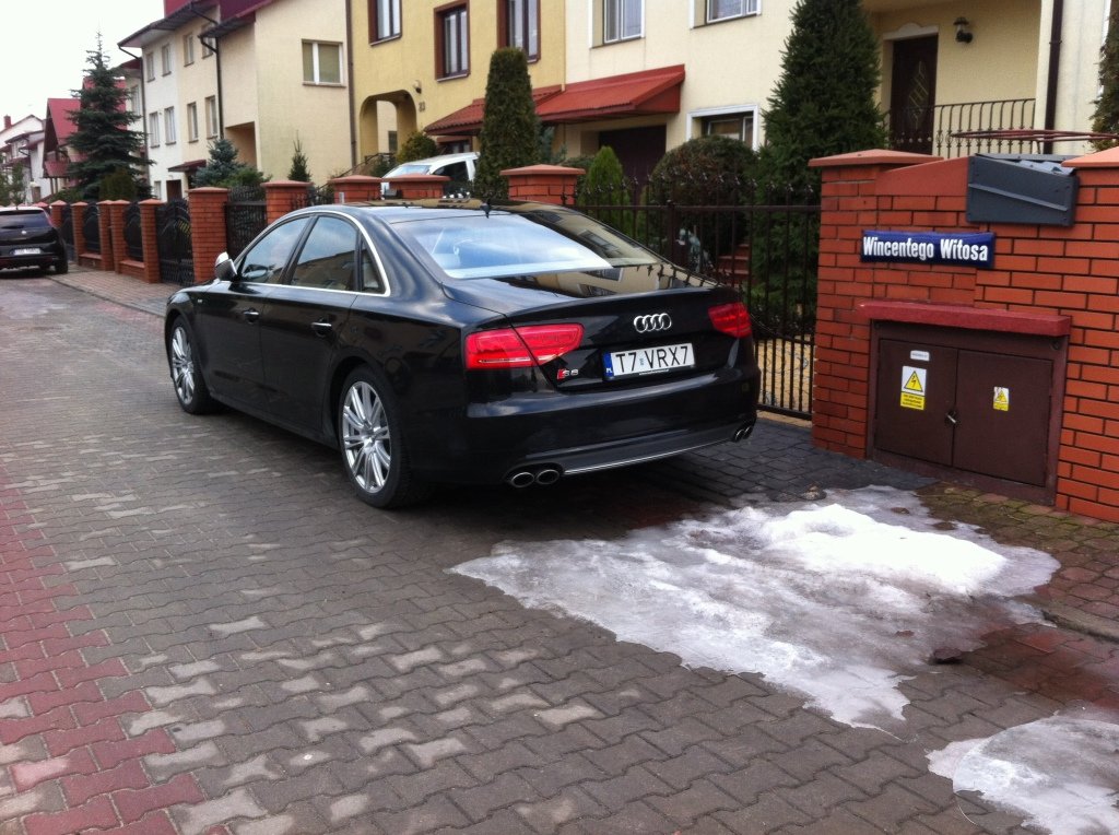 553568S8D4873.jpg
