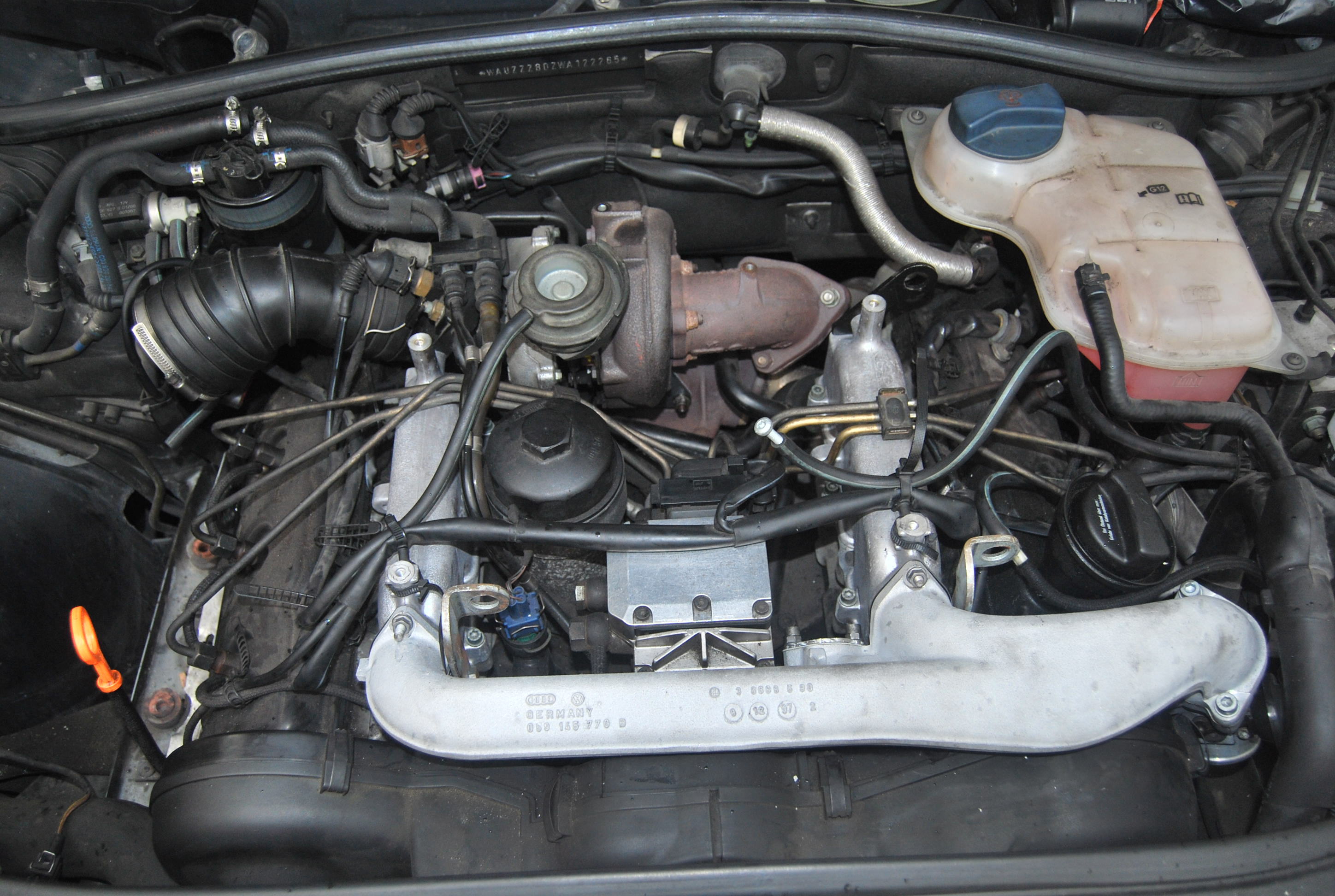 554492DSC0035.jpg