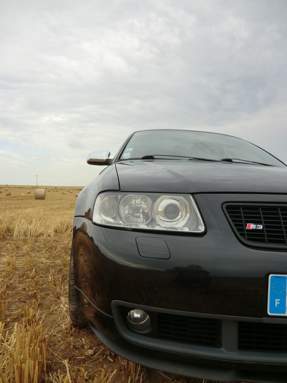 555688CIMG1312.jpg