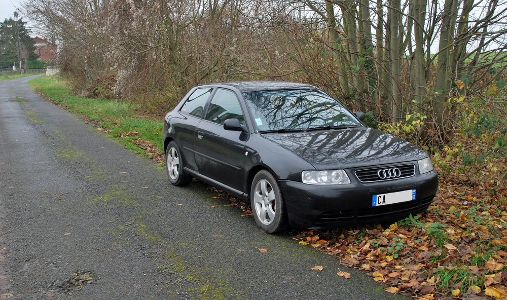 557535DSC8181b.jpg