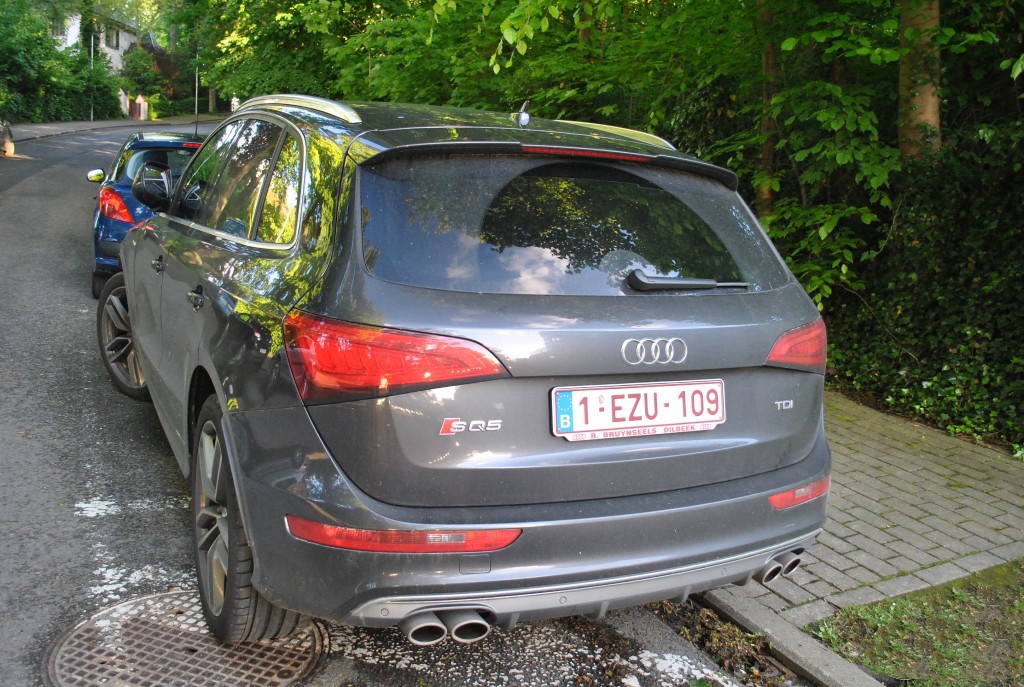557895AUDISQ5503.jpg