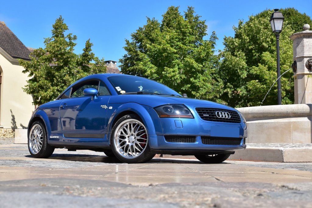559216DSC00672x.jpg