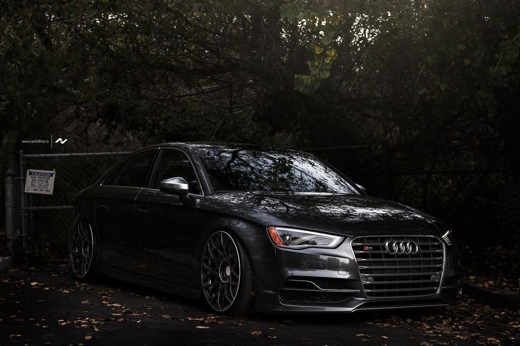 559255S38V1359.jpg