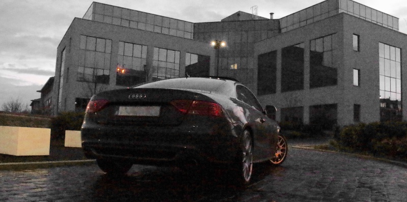559268IMG0415.jpg