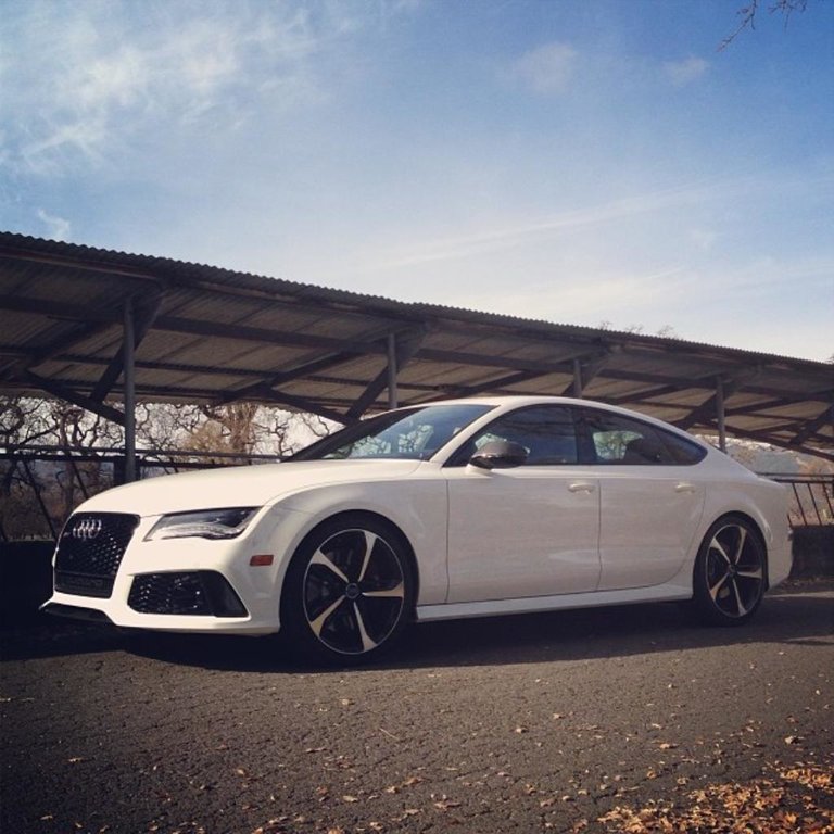 559294RS7300.jpg