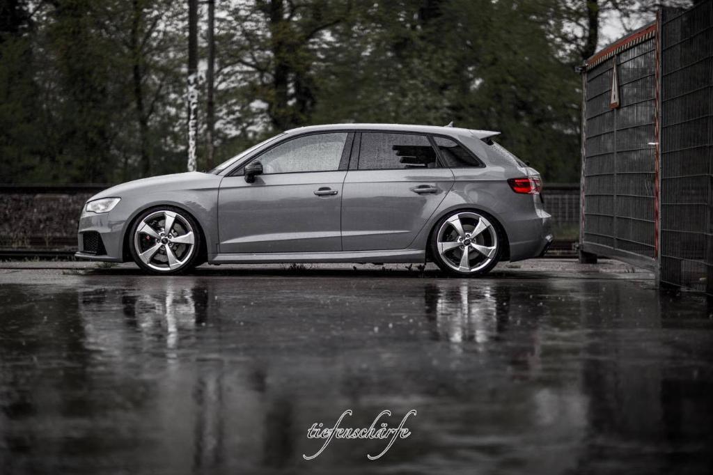 561174RS38V1124.jpg