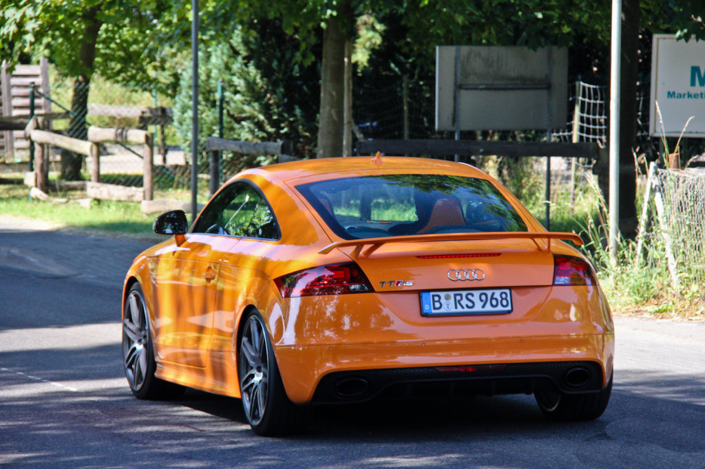 561669AUDITTRS881.jpg