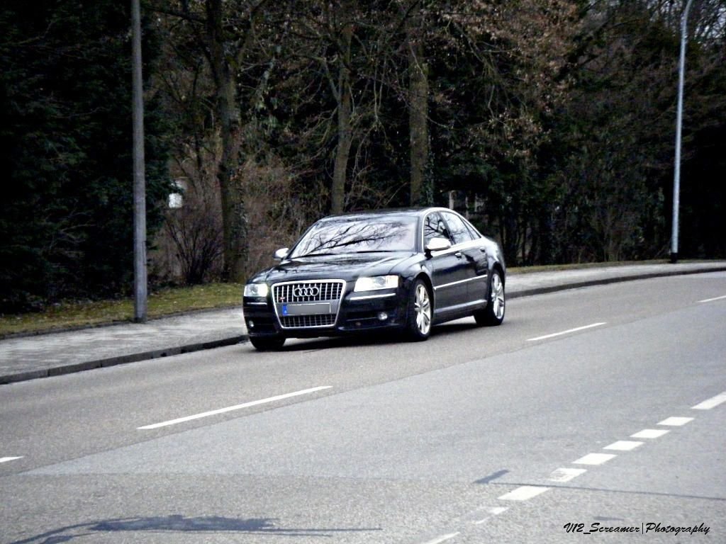 562077242S8ESQUIROU.jpg