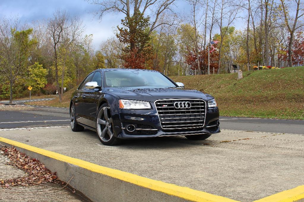 565194S8D41235.jpg