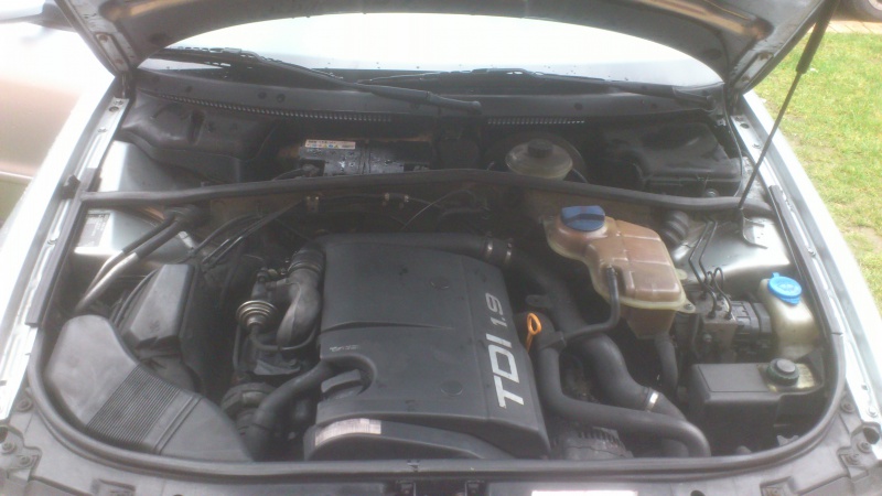 565973DSC0489.jpg