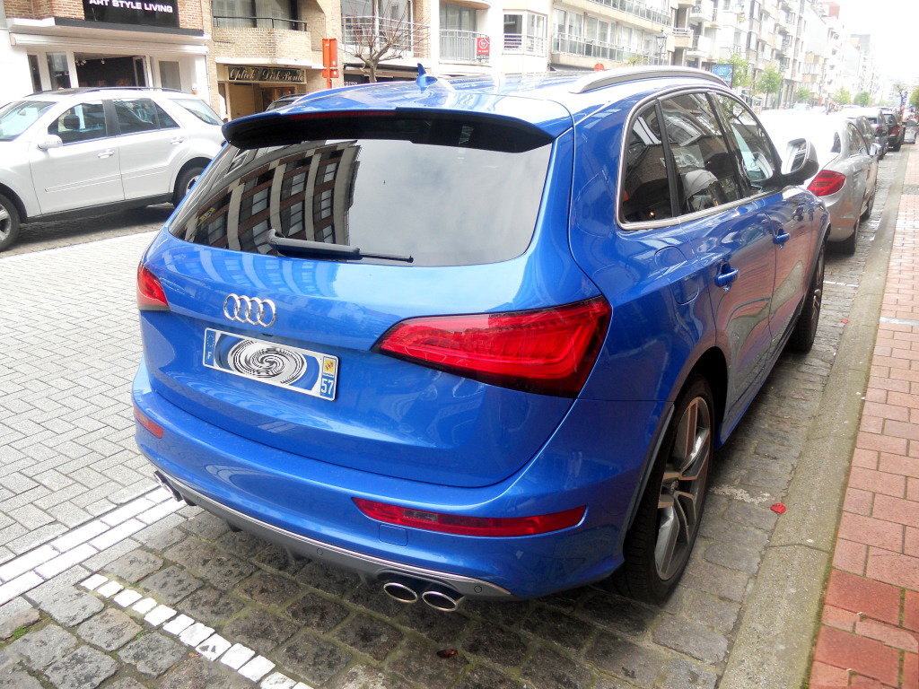 566310AUDISQ51105.jpg