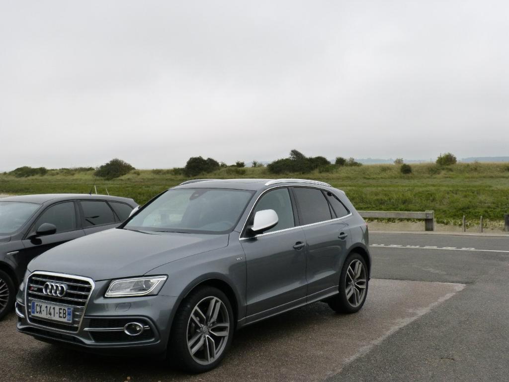 567600AUDISQ51512.jpg