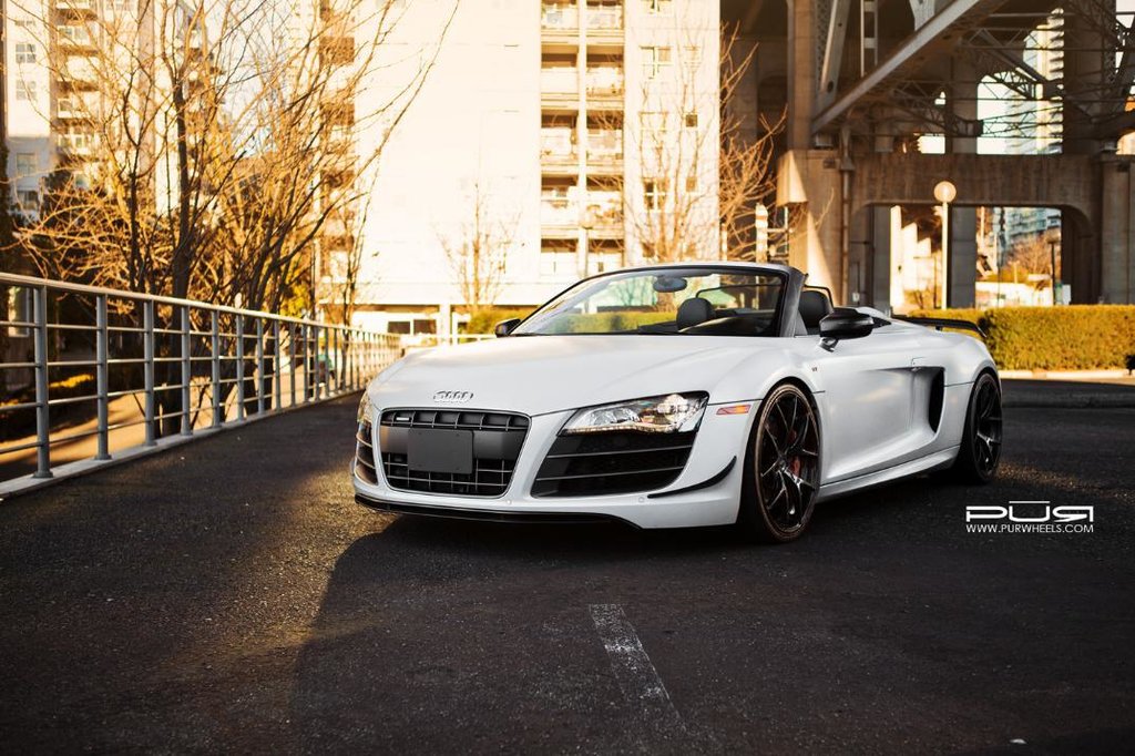 575179R8GT1168.jpg