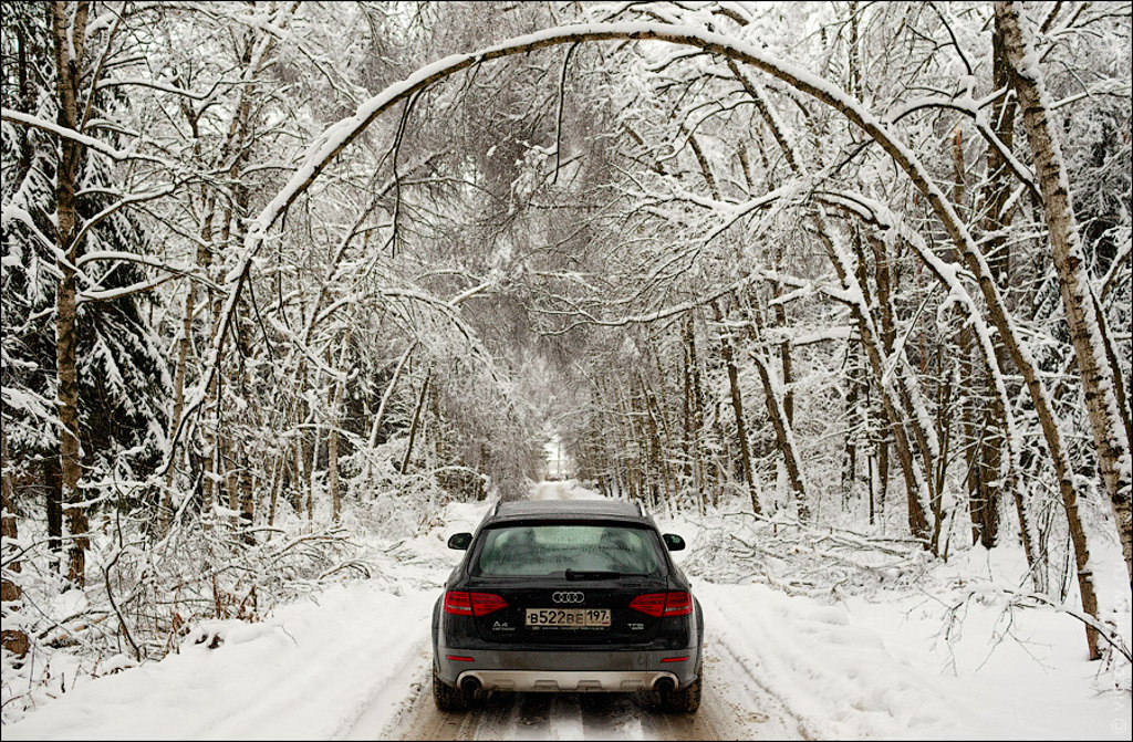 577129313AUDIA4ALLROAD.jpg