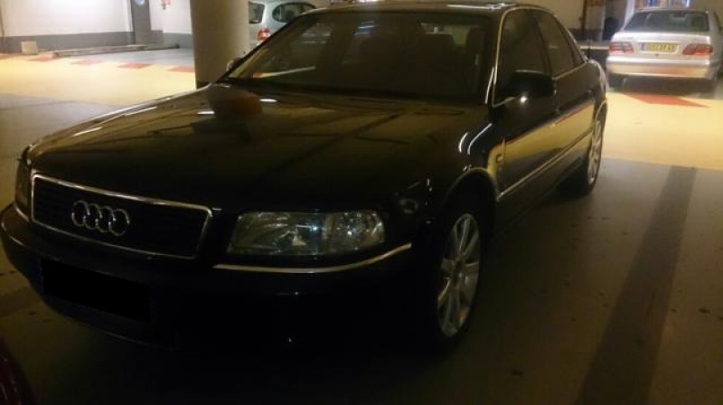 581013Foto10x.jpg