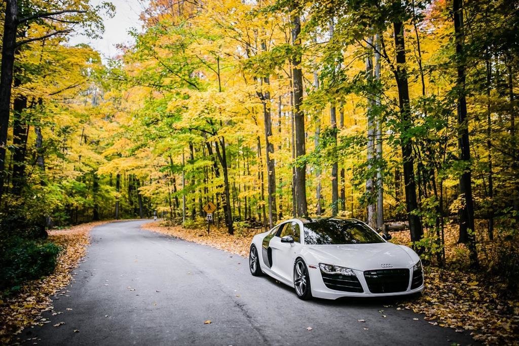 5827571853AUDIR8V10.jpg
