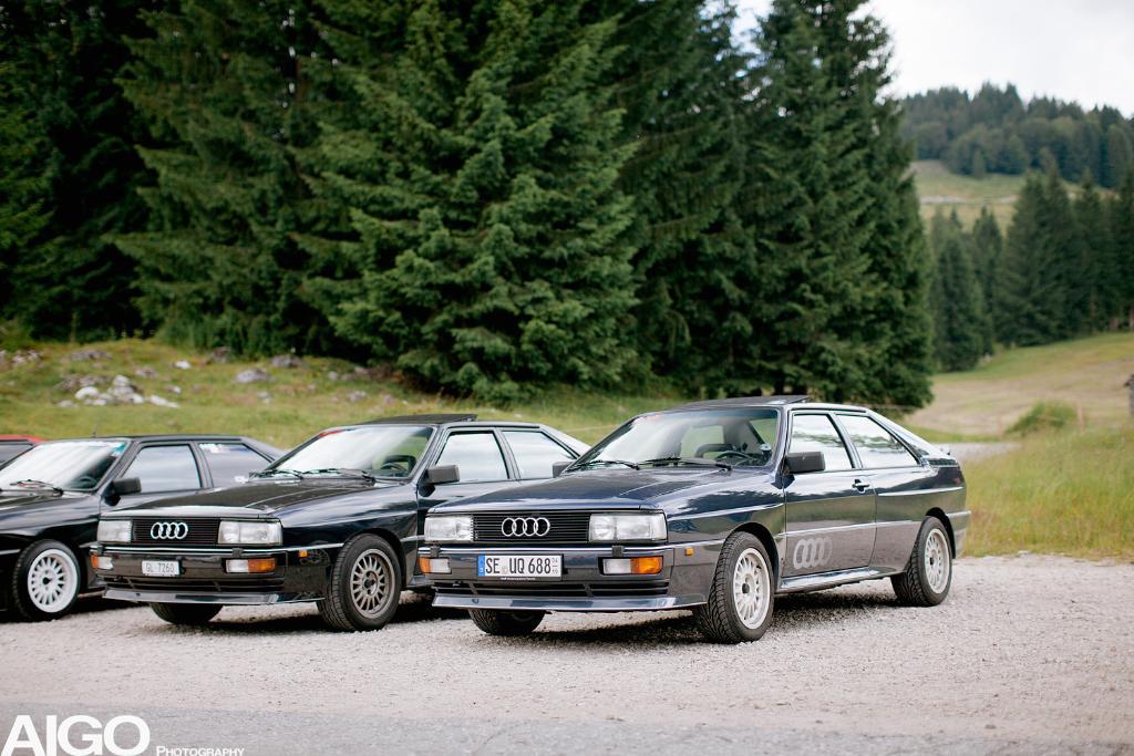 583376URQUATTRO2009.jpg