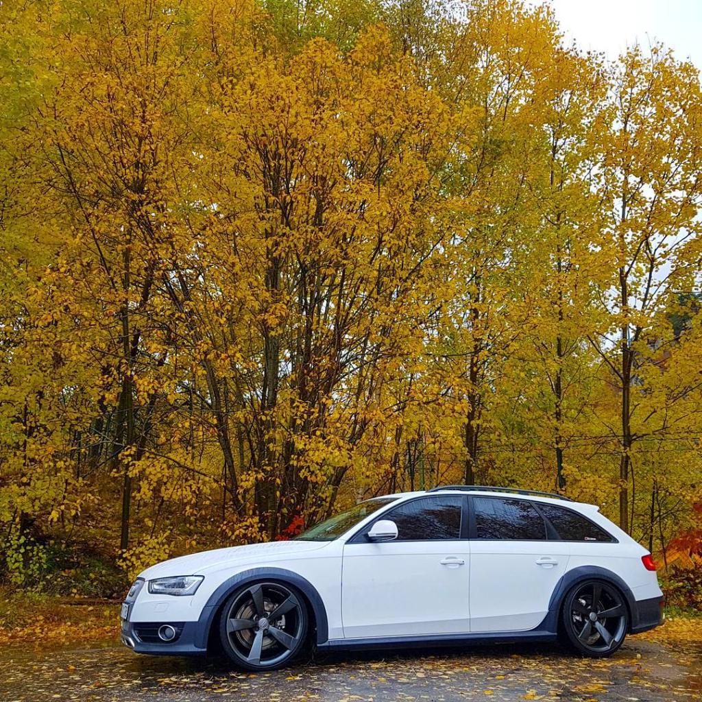 5868171945AUDIA4ALLROAD.jpg