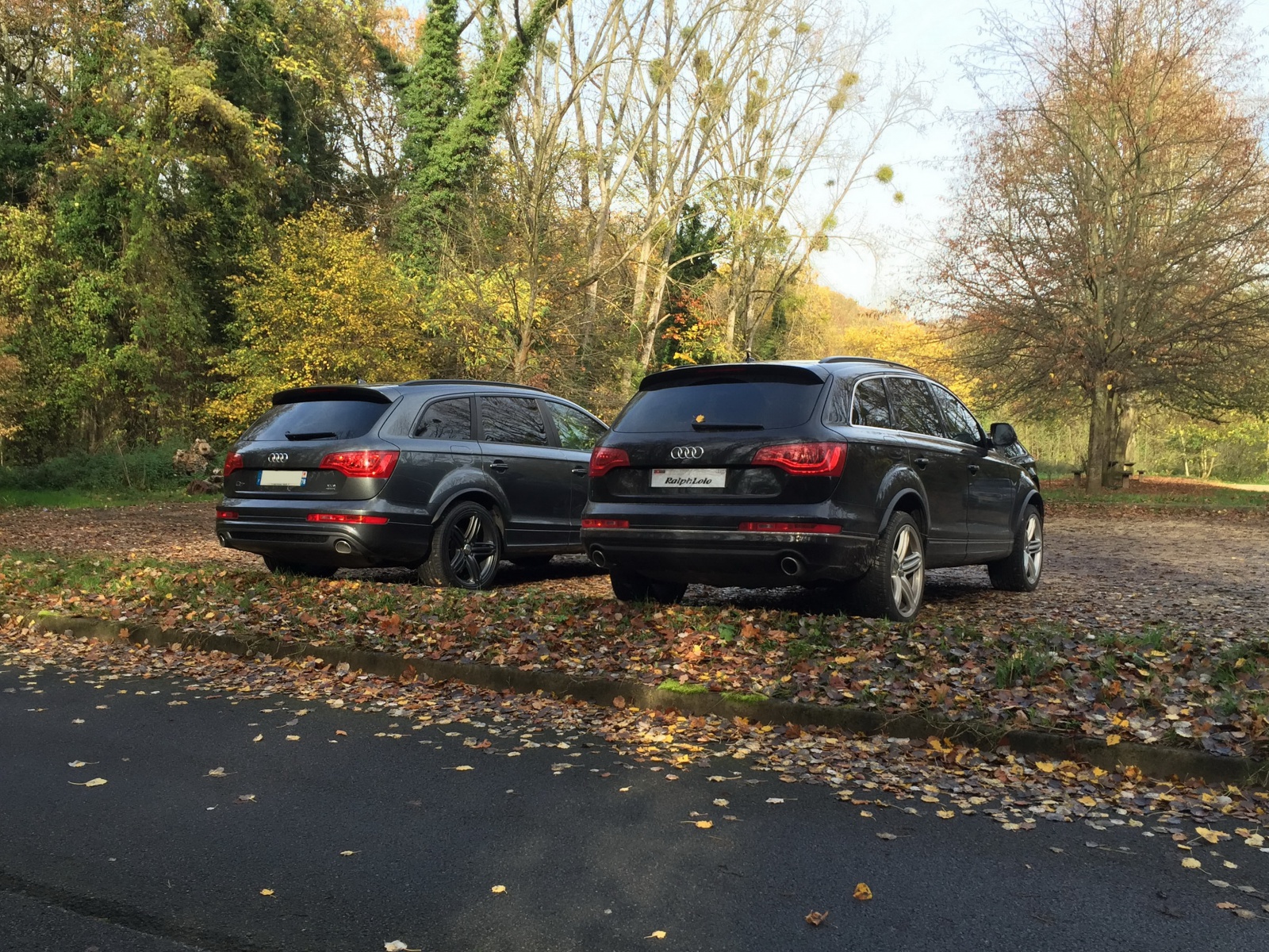 58875620151108RassemblementAudi05.jpg