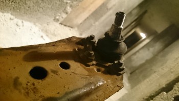 58c12f458928599.jpg