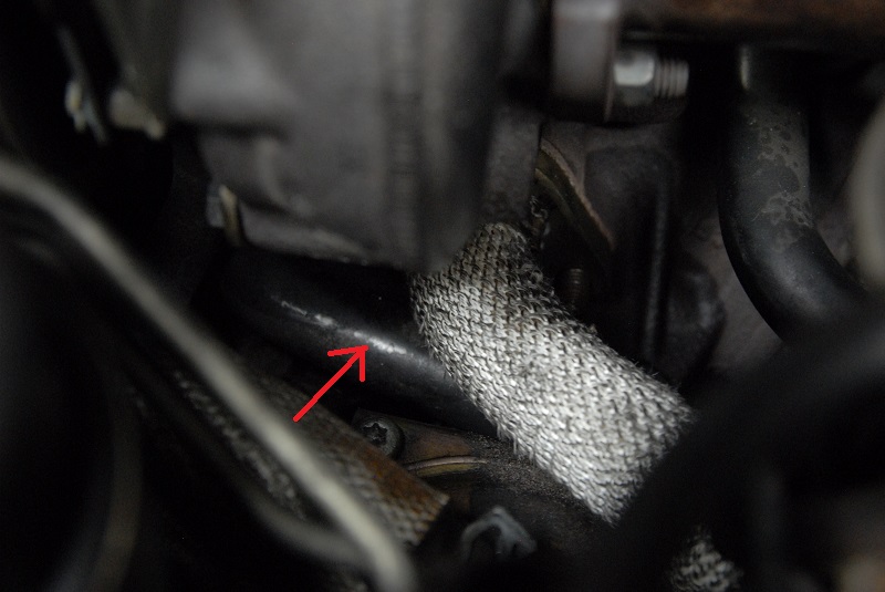 591800DSC91302.jpg