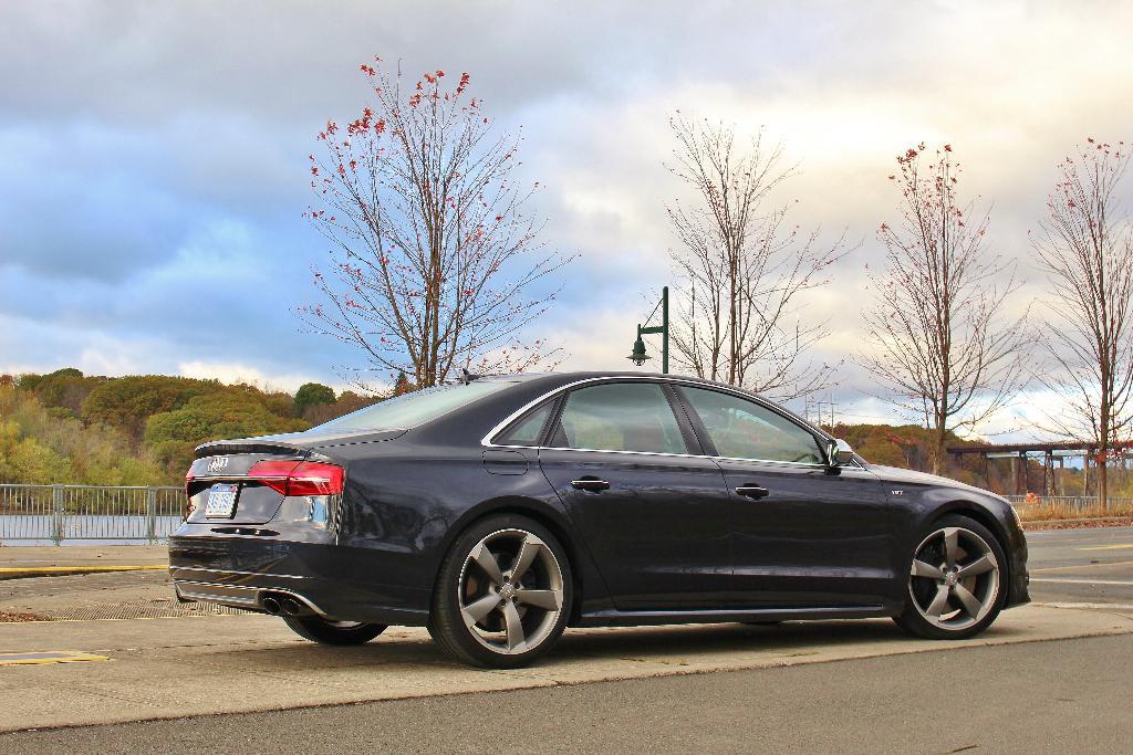 592815S8D41236.jpg