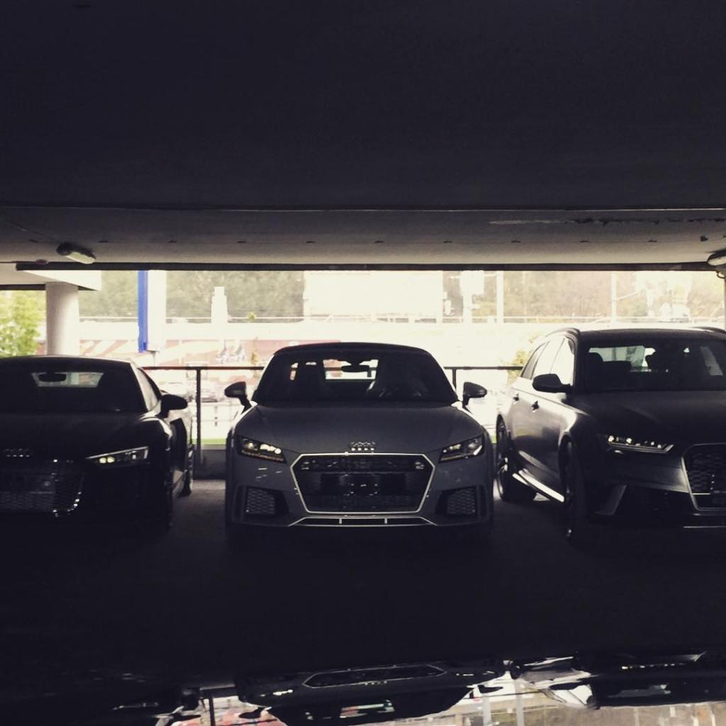 594175AUDITTRS8S0336.jpg
