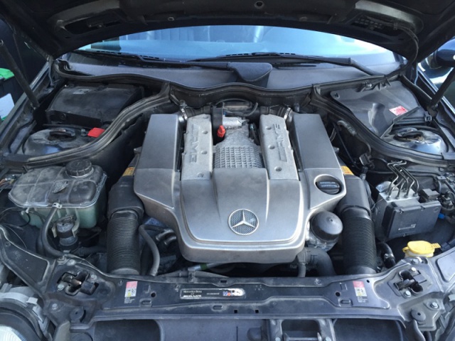 594321IMG2357.jpg