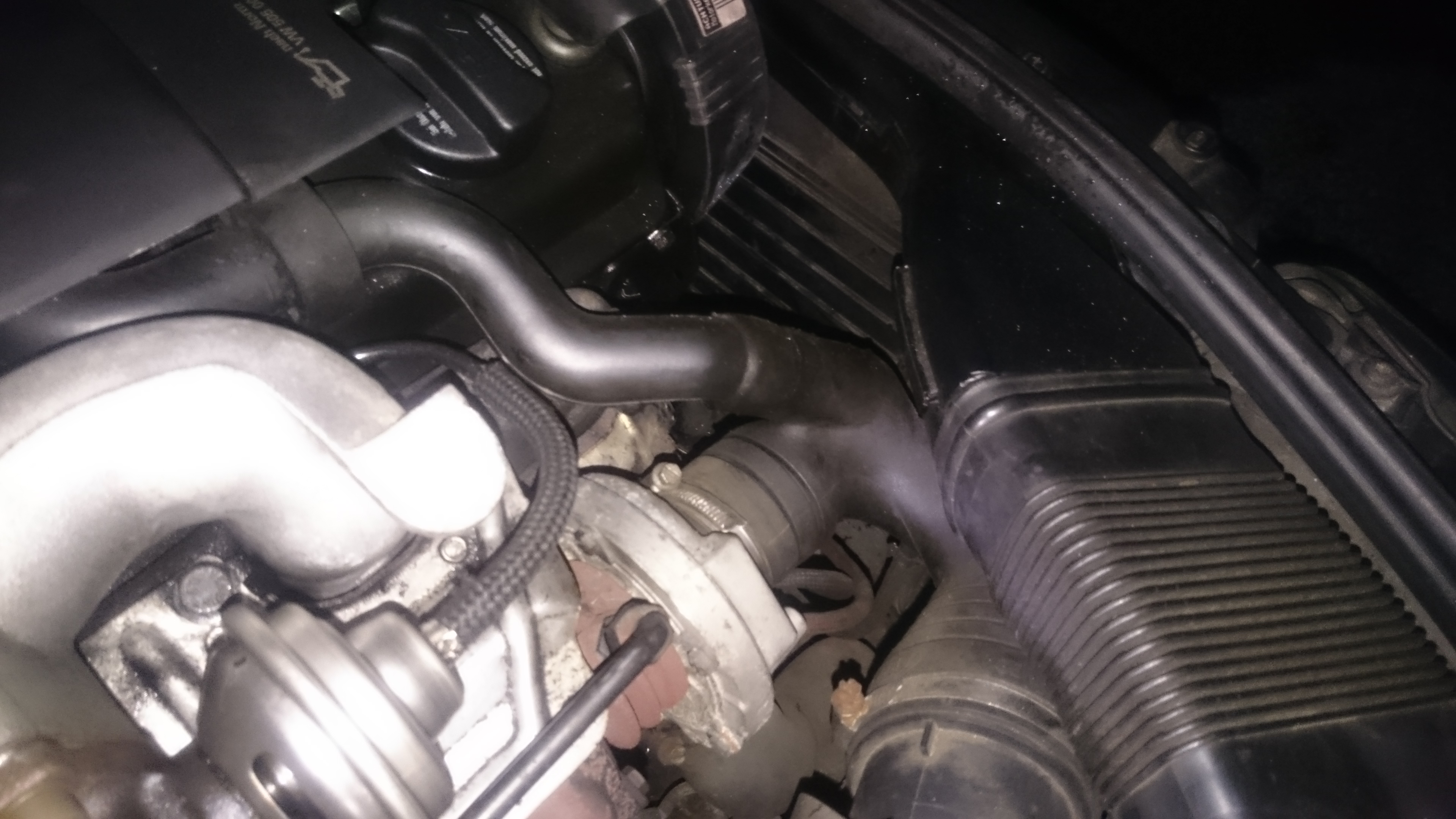 595134DSC00011.jpg