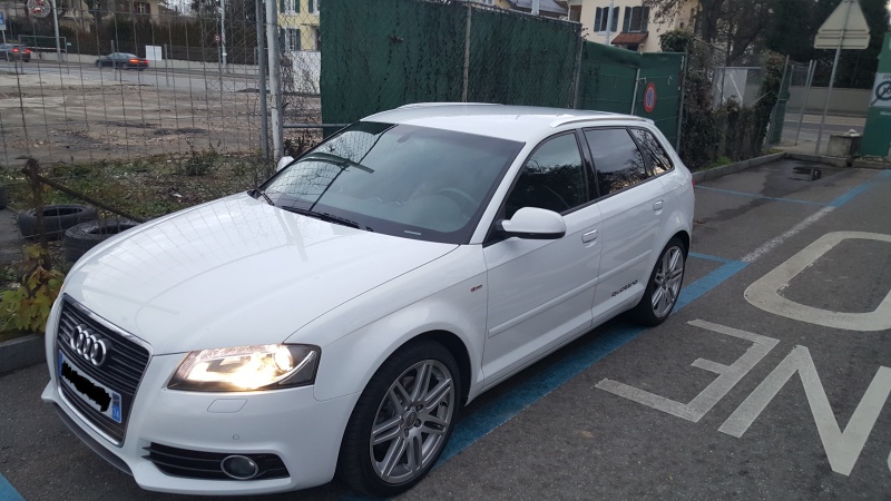 595423Sansplaque1.jpg
