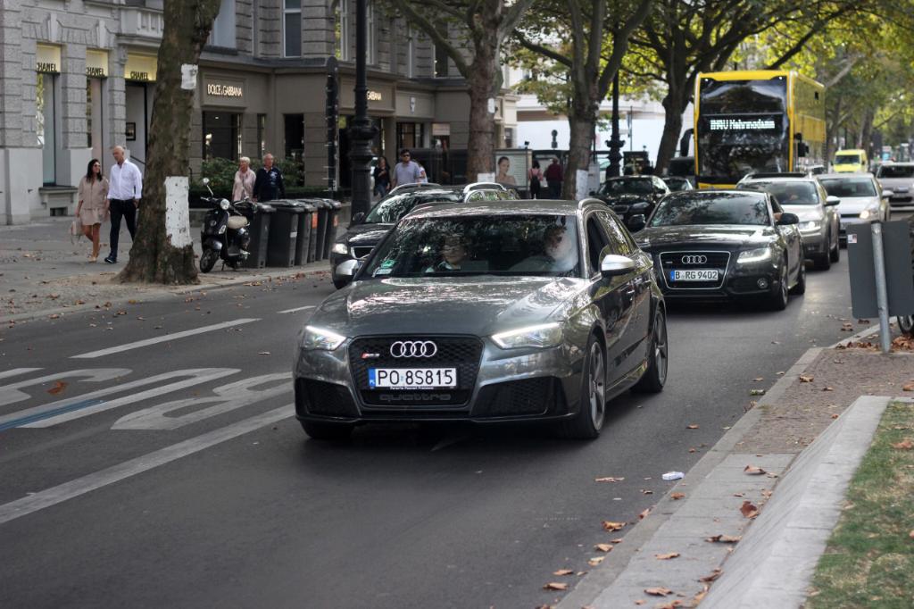 599303RS38V1529.jpg