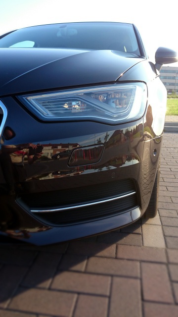 599947DSC0461.jpg