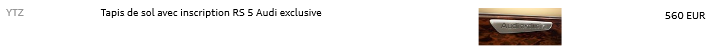tapis%20RS5.png