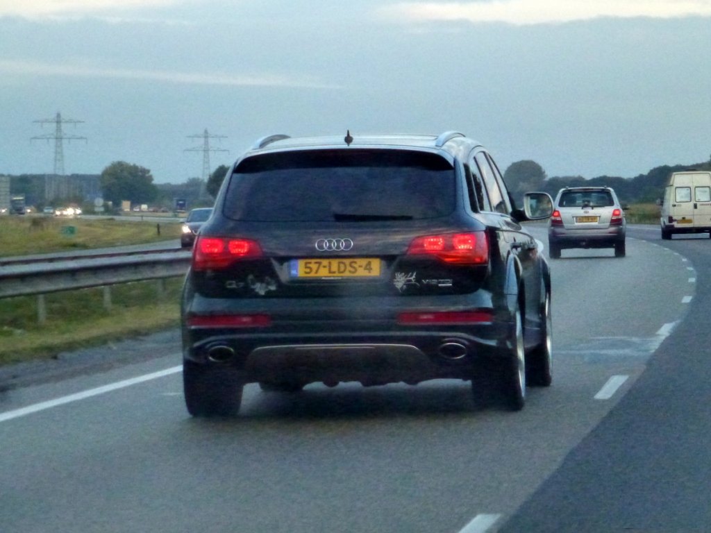 600338515Q7V12.jpg