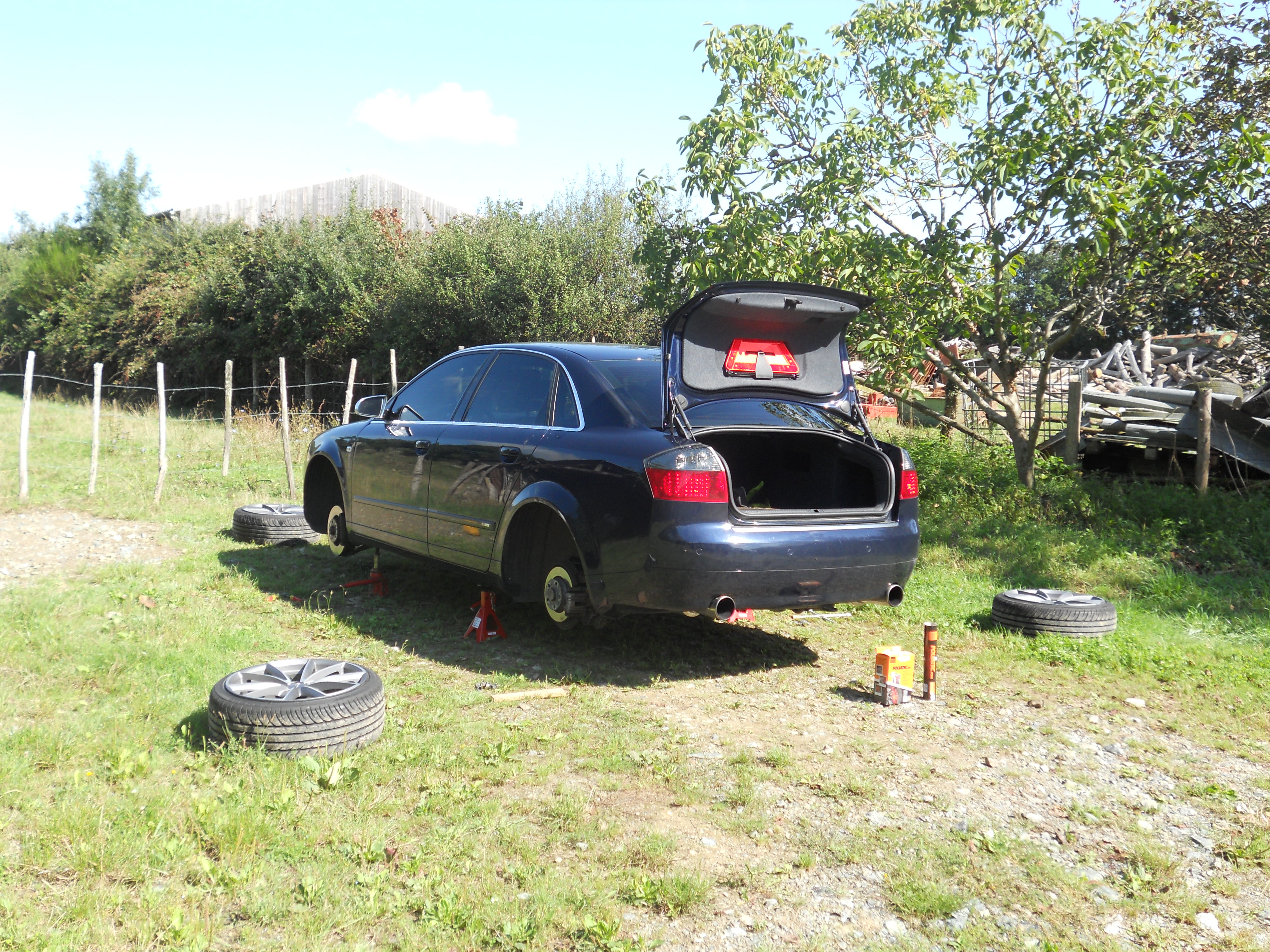 600436DSCN1391.jpg